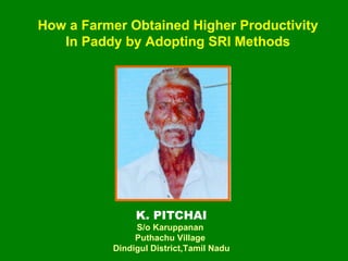 How a Farmer Obtained Higher Productivity  In Paddy by Adopting SRI Methods  K. PITCHAI S/o Karuppanan  Puthachu Village  Dindigul District,Tamil Nadu 