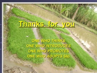 Thanks  for  you   ONE WHO  THINKS ONE WHO  INTRODUCES ONE WHO  PROMOTES ONE WHO  ADOPTS  SRI 