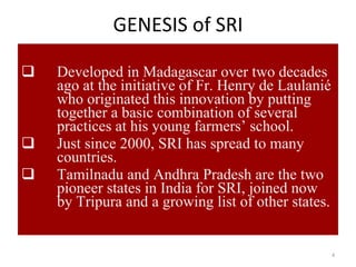GENESIS of SRI <ul><li>Developed in Madagascar over two decades ago at the initiative of Fr. Henry de Laulanié who origina...
