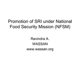 Promotion of SRI under National Food Security Mission (NFSM) Ravindra A. WASSAN www.wassan.org 