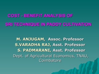 COST - BENEFIT ANALYSIS OF  SRI TECHNIQUE IN PADDY CULTIVATION   M. ANJUGAM,   Assoc. Professor  S.VARADHA RAJ,  Asst. Professor  S. PADMARANI,  Asst. Professor Dept. of Agricultural Economics, TNAU, Coimbatore  