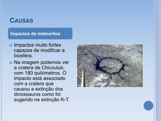 CAUSAS
Impactos de meteoritos

   Impactos muito fortes
    capazes de modificar a
    biosfera.
   Na imagem podemos ver
    a cratera de Chicxulub,
    com 180 quilómetros. O
    impacto está associado
    com a cratera que
    causou a extinção dos
    dinossauros como foi
    sugerido na extinção K-T.
 