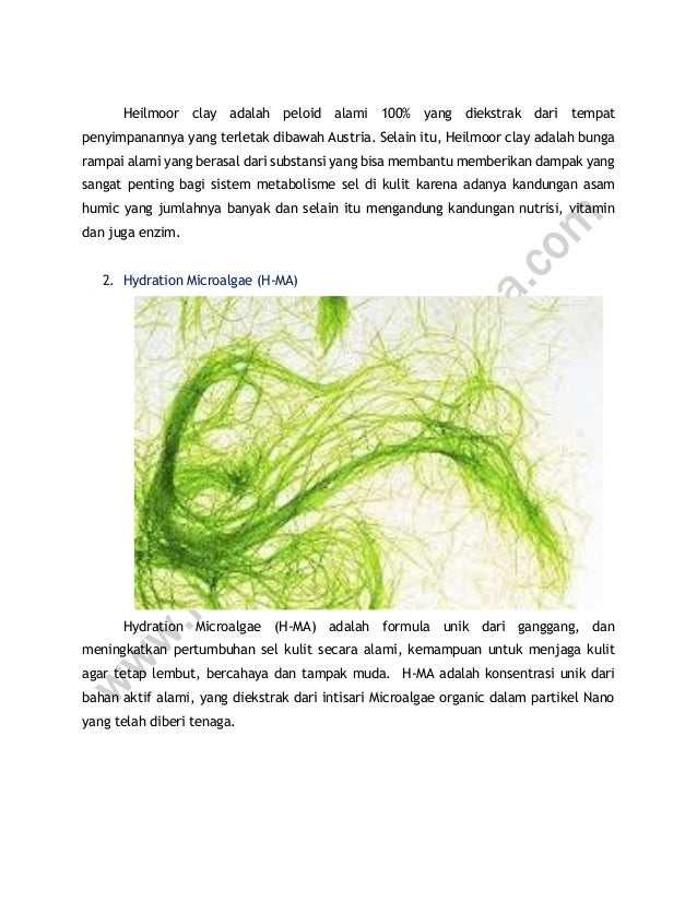 0878-8426-1401 (XL), Sabun Jerawat Laki Laki