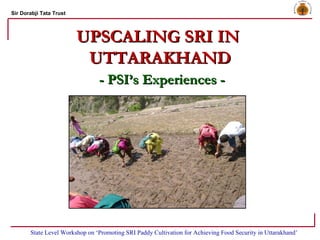 UPSCALING SRI IN  UTTARAKHAND - PSI’s Experiences - State Level Workshop on ‘Promoting SRI Paddy Cultivation for Achieving Food Security in Uttarakhand’ 