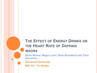 THE EFFECT OF ENERGY DRINKS ON
THE HEART RATE OF DAPHNIA
MAGNA
Olivia Warner, Megan Levin, Rose Brusaferro and Trina
Seunarine
Stevenson University
BIO 114 – Dr. Kimber
 