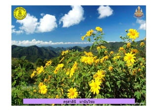 ครูสาลินี มานันไชยครูสาลินี มานันไชย
 