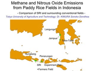 Methane and Nitrous Oxide Emissions from Paddy Rice Fields in Indonesia - Comparison of SRI and surrounding conventional fields - Tokyo University of Agriculture and Technology: Dr. KIMURA Sonoko Dorothea SRI 　 Experiment Plot +Farmers Field Tabo-Tabo Jampue Langunga Penarungan Sungsang 