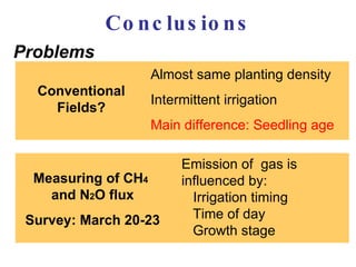 0890 Methane and Nitrous Oxide Emissions from Paddy Rice Fields in ...