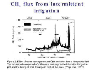 0890 Methane and Nitrous Oxide Emissions from Paddy Rice Fields in ...