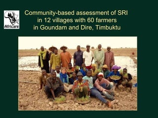 Community-based assessment of SRI  in 12 villages with 60 farmers in Goundam and Dire, Timbuktu 