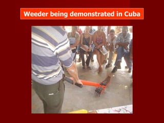 Weeder being demonstrated in Cuba 