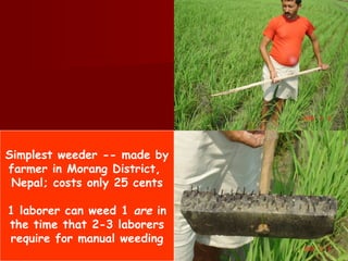 Simplest weeder -- made by farmer in Morang District,  Nepal; costs only 25 cents 1 laborer can weed 1  are  in the time that 2-3 laborers require for manual weeding 