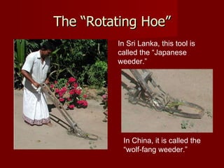 The “Rotating Hoe” In Sri Lanka, this tool is called the “Japanese weeder.”  In China, it is called the “wolf-fang weeder.”  