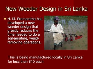 New Weeder Design in Sri Lanka H. M. Premaratna has developed a new weeder design that greatly reduces the time needed to do a soil-aerating, weed-removing operations.  This is being manufactured locally in Sri Lanka for less than $10 each .  