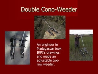 Double Cono-Weeder An engineer in Madagascar took IRRI’s drawings and made an adjustable two-row weeder. 