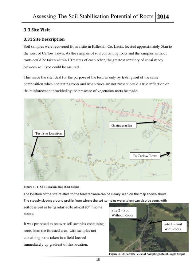 Dissertation introduction example pdf image