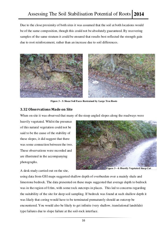 Bolton dissertation