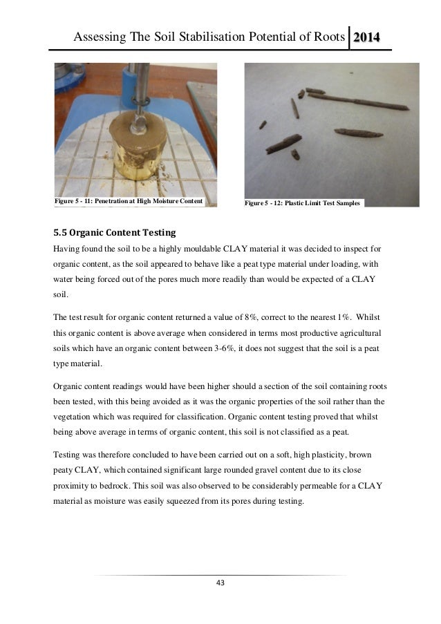 Bolton dissertation image