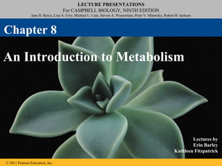 LECTURE PRESENTATIONS
                                    For CAMPBELL BIOLOGY, NINTH EDITION
                Jane B. Reece, Lisa A. Urry, Michael L. Cain, Steven A. Wasserman, Peter V. Minorsky, Robert B. Jackson



Chapter 8

An Introduction to Metabolism




                                                                                                                    Lectures by
                                                                                                                    Erin Barley
                                                                                                            Kathleen Fitzpatrick

© 2011 Pearson Education, Inc.
 