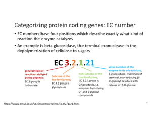 Ec Number 08_Annotation_2022.pdf