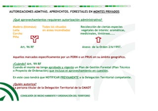 Aprovechamientos Forestales y Certificación Forestal | PPT