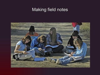 Making field notes 
