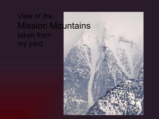 View of the Mission Mountains taken from my yard 