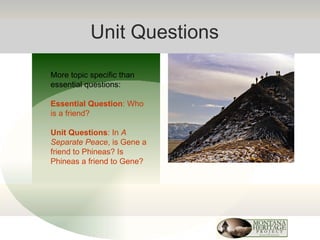 Unit Questions More topic specific than essential questions: Essential Question : Who is a friend? Unit Questions : In  A Separate Peace , is Gene a friend to Phineas? Is Phineas a friend to Gene? 