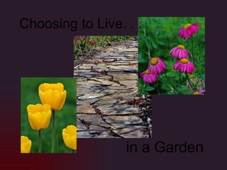 Choosing to Live. . . in a Garden 