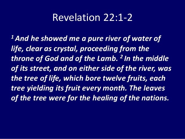 08 August 30, 2015, Revelation 2122, The Final Act