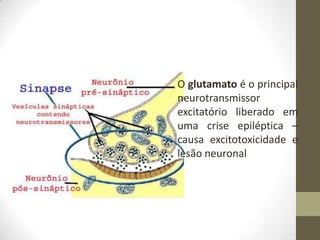 O glutamato é o principal
neurotransmissor
excitatório liberado em
uma crise epiléptica –
causa excitotoxicidade e
lesão neuronal

 