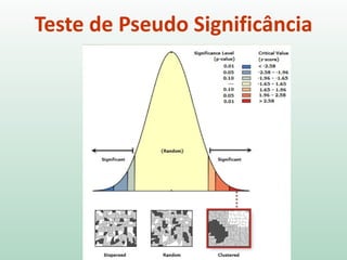 Teste de Pseudo Significância
No nosso exemplo, seria como se fizéssemos
inúmeras permutações com os valores de consumo
de água, atribuindo-os aleatoriamente para os
diversos municípios e calculando o Índice de Moran
para cada uma destas permutações aleatórias.
Faríamos isso, por exemplo 999 vezes! E obteríamos,
portanto, 999 valores para o Índice de Moran + o
valor do índice de Moran construído sobre os dados
observados. Com estes 1000 valores de I, poderíamos
contruir uma distribuição do índice.
 