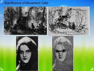 Significance of Movement Cells 
