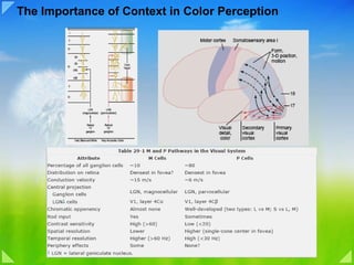 The Importance of Context in Color Perception 