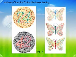 Ishihara Chart for Color blindness testing 21, 2 