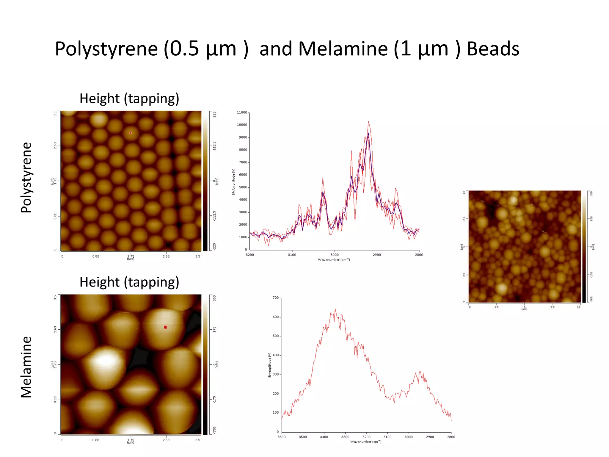Polystyrene (0.5 µm ) and Melamine (1 µm ) Beads
Height (tapping)
Height (tapping)
MelaminePolystyrene