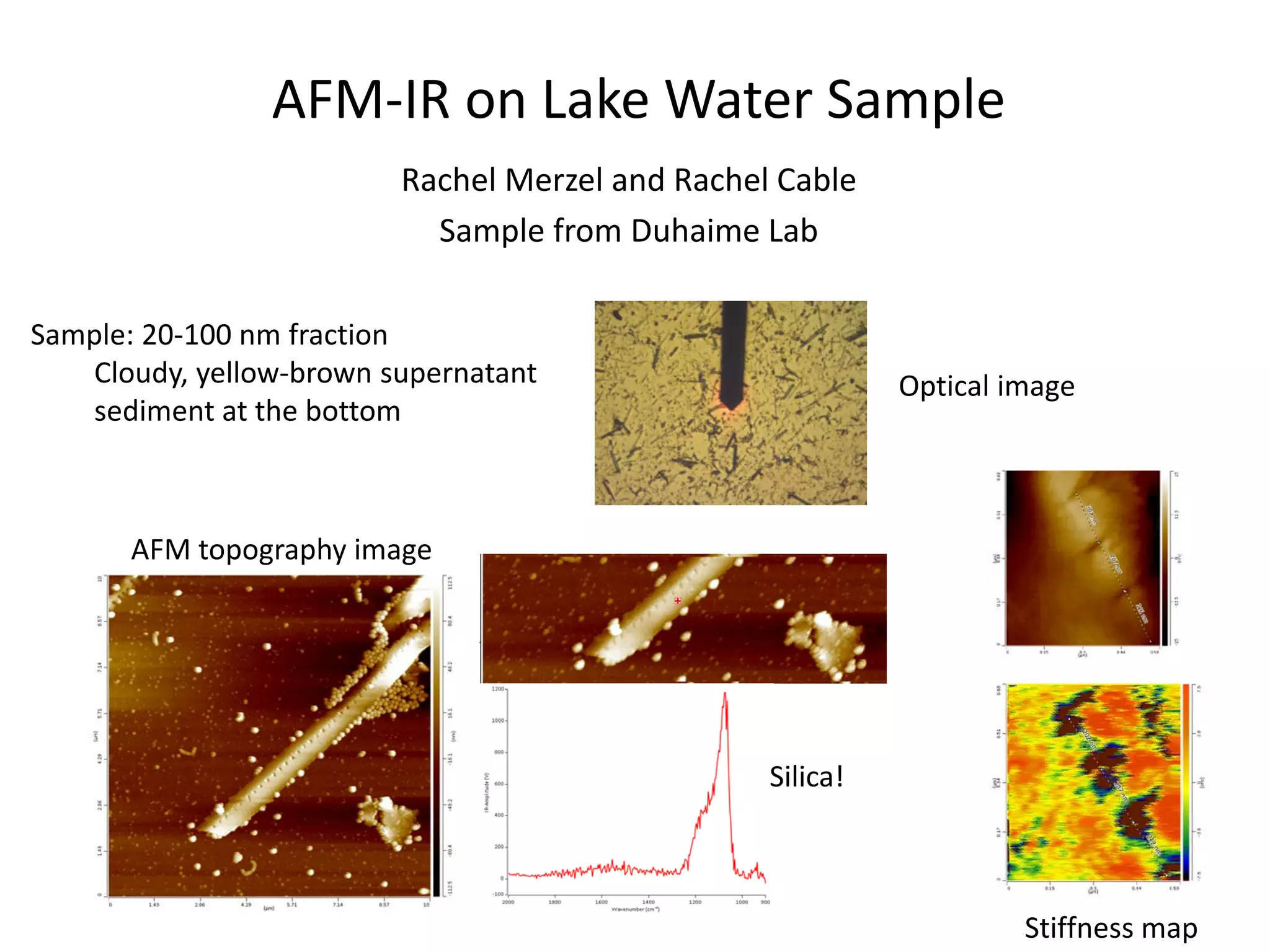 AFM-IR on Lake Water Sample
Rachel Merzel and Rachel Cable
Sample from Duhaime Lab
Sample: 20-100 nm fraction
Cloudy, yellow-brown supernatant
sediment at the bottom
Optical image
AFM topography image
Silica!
Stiffness map