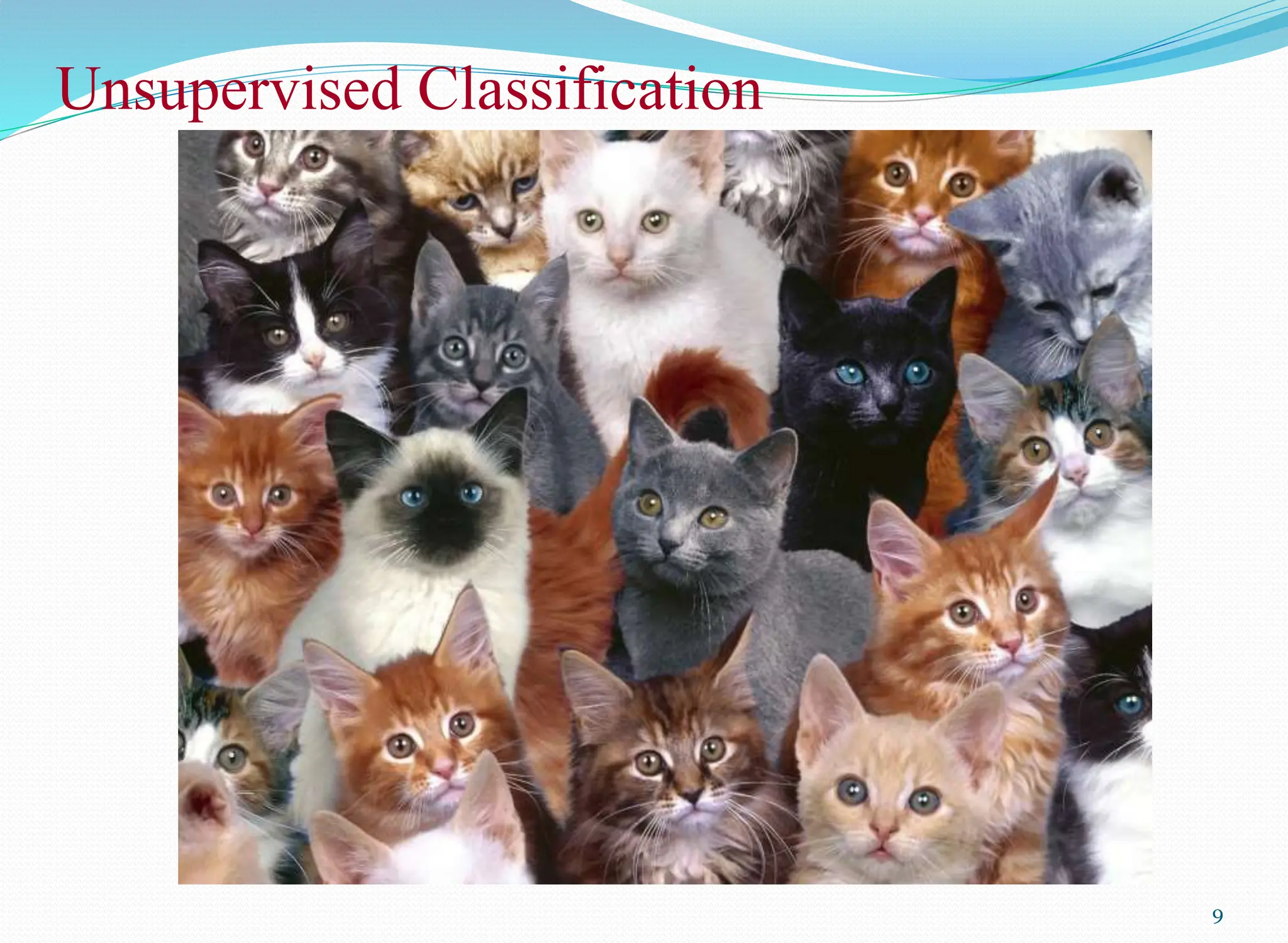 Unsupervised Classification
9
 