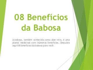 08 Benefícios
da Babosa
A babosa, também conhecida como aloe vera, é uma
planta medicinal com inúmeros benefícios. Descubra
aqui 08 benefícios da babosa para você.
 