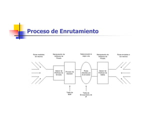 Proceso de Enrutamiento
 