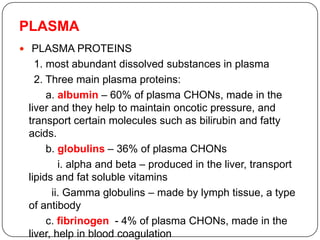 PLASMA
 PLASMA PROTEINS
1. most abundant dissolved substances in plasma
2. Three main plasma proteins:
a. albumin – 60% of plasma CHONs, made in the
liver and they help to maintain oncotic pressure, and
transport certain molecules such as bilirubin and fatty
acids.
b. globulins – 36% of plasma CHONs
i. alpha and beta – produced in the liver, transport
lipids and fat soluble vitamins
ii. Gamma globulins – made by lymph tissue, a type
of antibody
c. fibrinogen - 4% of plasma CHONs, made in the
liver, help in blood coagulation
 