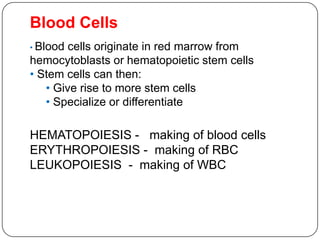 Blood Cells
14
• Blood cells originate in red marrow from
hemocytoblasts or hematopoietic stem cells
• Stem cells can then:
• Give rise to more stem cells
• Specialize or differentiate
HEMATOPOIESIS - making of blood cells
ERYTHROPOIESIS - making of RBC
LEUKOPOIESIS - making of WBC
 