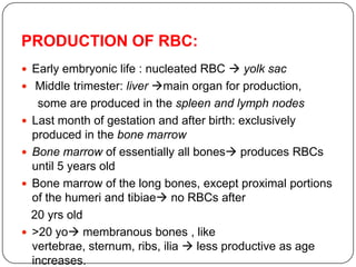 PRODUCTION OF RBC:
 Early embryonic life : nucleated RBC  yolk sac
 Middle trimester: liver main organ for production,
some are produced in the spleen and lymph nodes
 Last month of gestation and after birth: exclusively
produced in the bone marrow
 Bone marrow of essentially all bones produces RBCs
until 5 years old
 Bone marrow of the long bones, except proximal portions
of the humeri and tibiae no RBCs after
20 yrs old
 >20 yo membranous bones , like
vertebrae, sternum, ribs, ilia  less productive as age
increases.
 