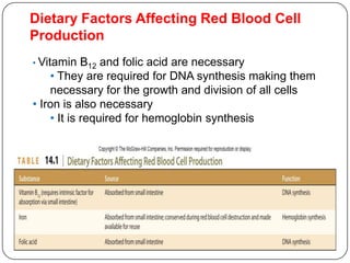 Dietary Factors Affecting Red Blood Cell
Production
• Vitamin B12 and folic acid are necessary
• They are required for DNA synthesis making them
necessary for the growth and division of all cells
• Iron is also necessary
• It is required for hemoglobin synthesis
 