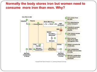 Normally the body stores iron but women need to
consume more iron than men. Why?
 