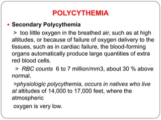 POLYCYTHEMIA
 Secondary Polycythemia
> too little oxygen in the breathed air, such as at high
altitudes, or because of failure of oxygen delivery to the
tissues, such as in cardiac failure, the blood-forming
organs automatically produce large quantities of extra
red blood cells.
> RBC counts 6 to 7 million/mm3, about 30 % above
normal.
>physiologic polycythemia, occurs in natives who live
at altitudes of 14,000 to 17,000 feet, where the
atmospheric
oxygen is very low.
 