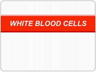 WHITE BLOOD CELLS
 