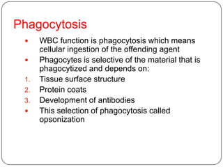 Phagocytosis
 WBC function is phagocytosis which means
cellular ingestion of the offending agent
 Phagocytes is selective of the material that is
phagocytized and depends on:
1. Tissue surface structure
2. Protein coats
3. Development of antibodies
 This selection of phagocytosis called
opsonization
 