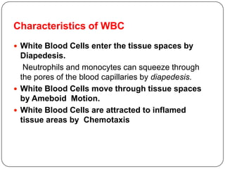 Characteristics of WBC
 White Blood Cells enter the tissue spaces by
Diapedesis.
Neutrophils and monocytes can squeeze through
the pores of the blood capillaries by diapedesis.
 White Blood Cells move through tissue spaces
by Ameboid Motion.
 White Blood Cells are attracted to inflamed
tissue areas by Chemotaxis
 