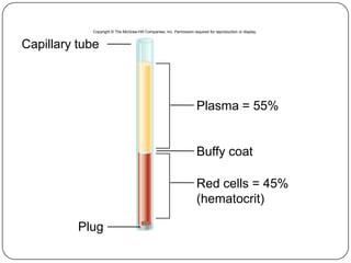 6
Copyright © The McGraw-Hill Companies, Inc. Permission required for reproduction or display.
Plasma = 55%
Capillary tube
Plug
Buffy coat
Red cells = 45%
(hematocrit)
 